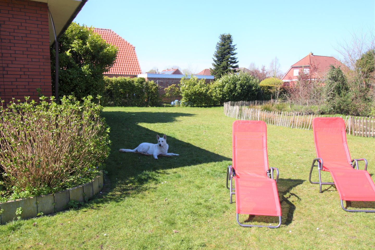  Ostfreesenhuus Vier Pfoten Marienhafe - 