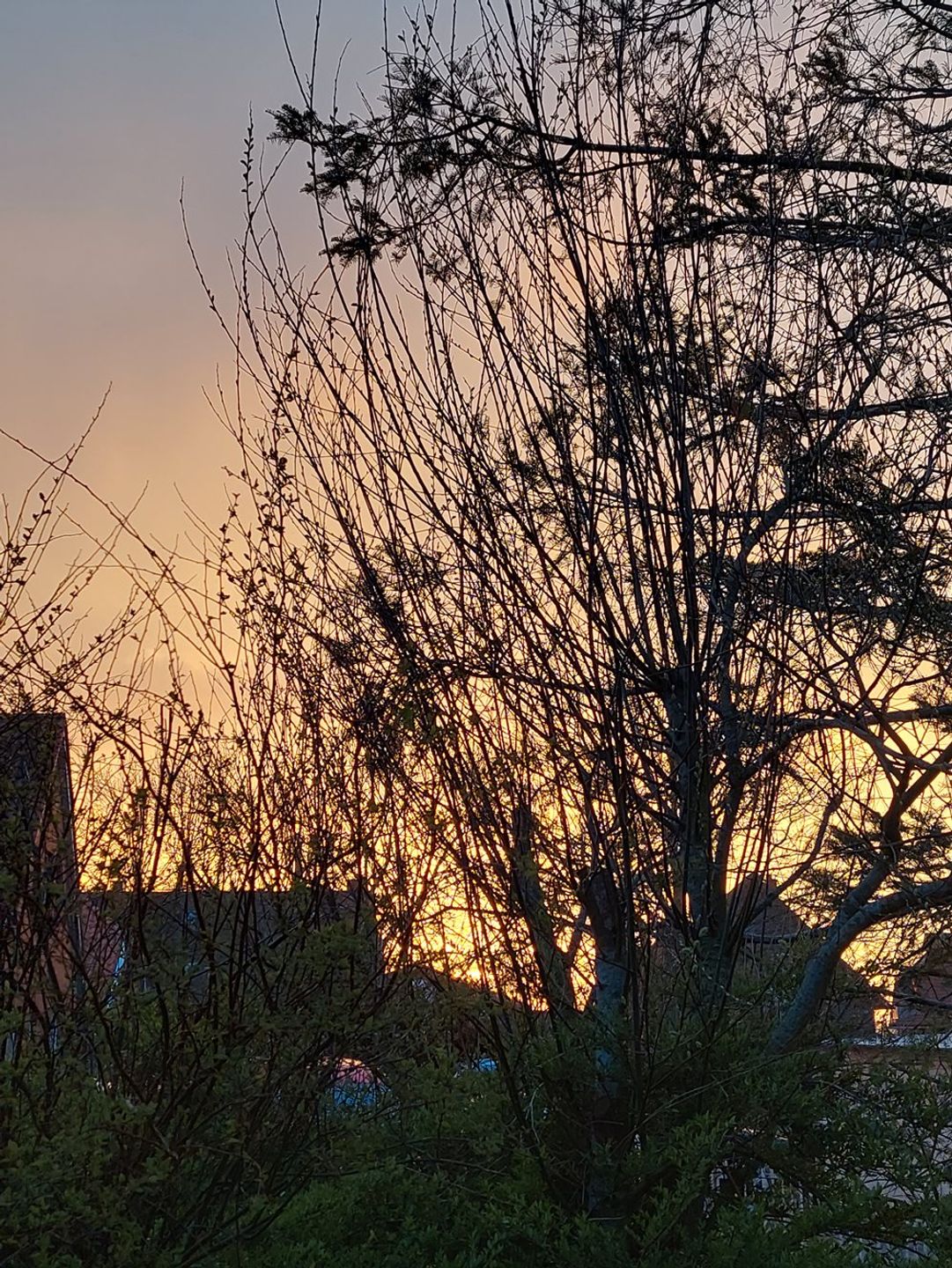 Friesenresidenz Zweite Heimat Werdum - 