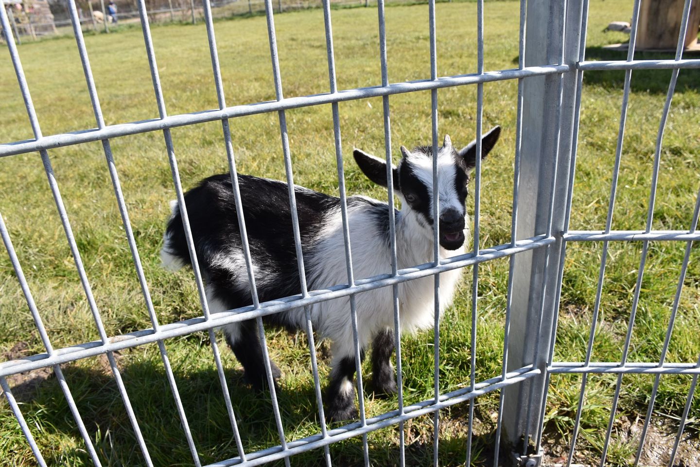 Friesenresidenz Zweite Heimat Werdum - 