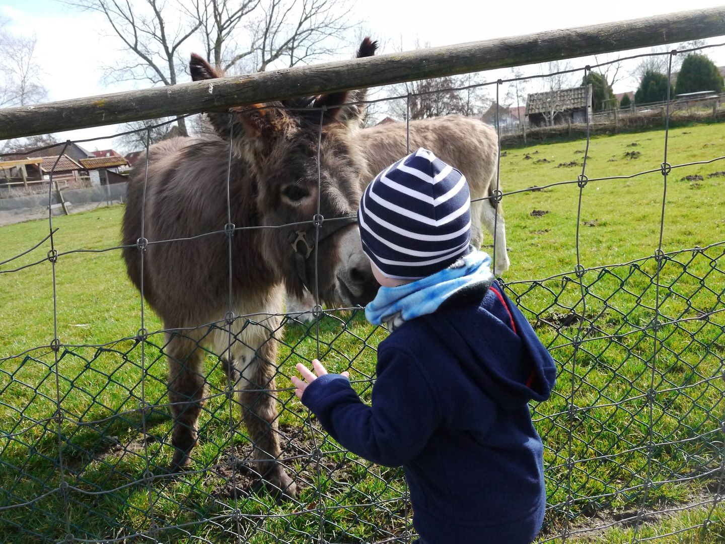 Friesenresidenz Zweite Heimat Werdum - 