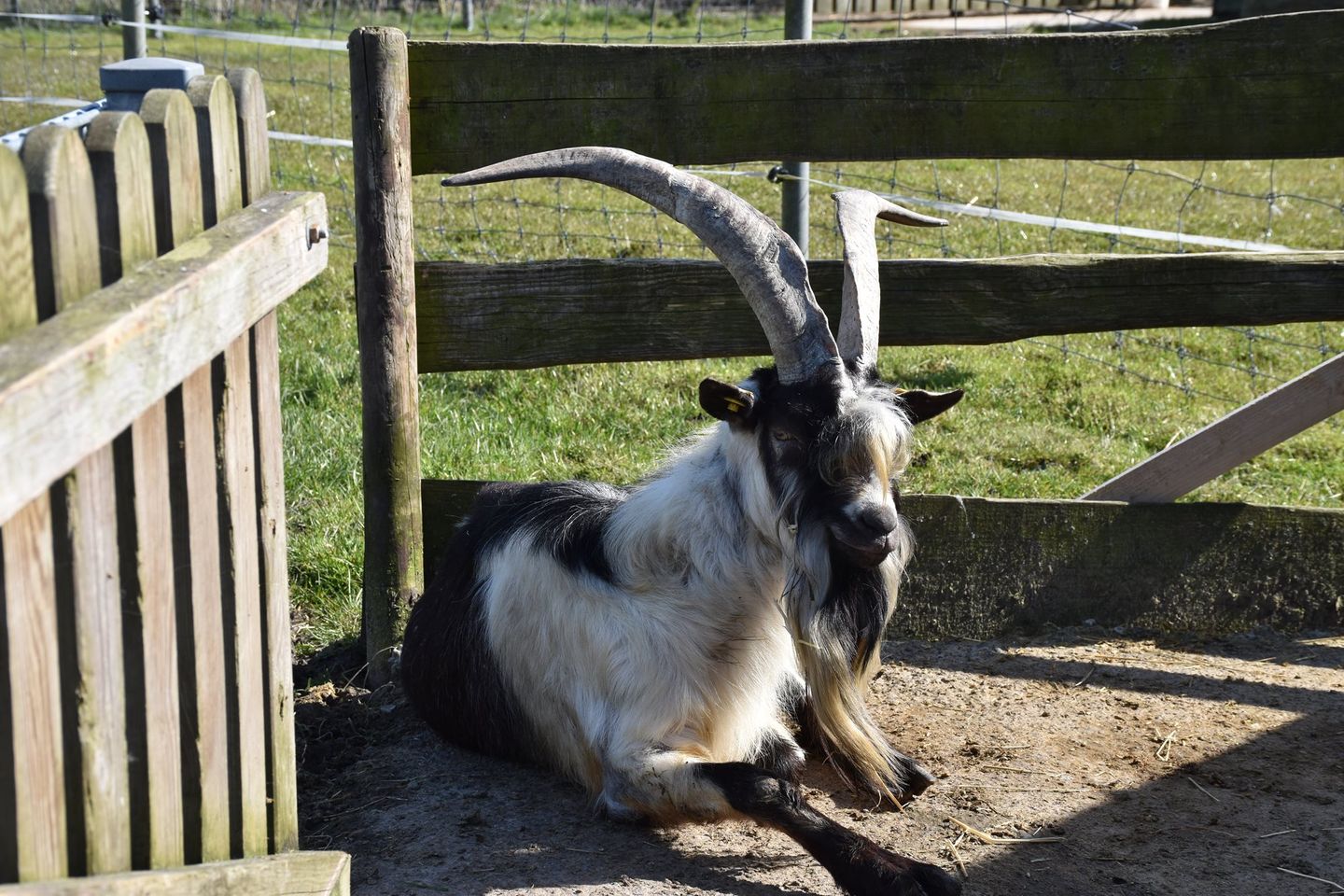 Friesenresidenz Zweite Heimat Werdum - 