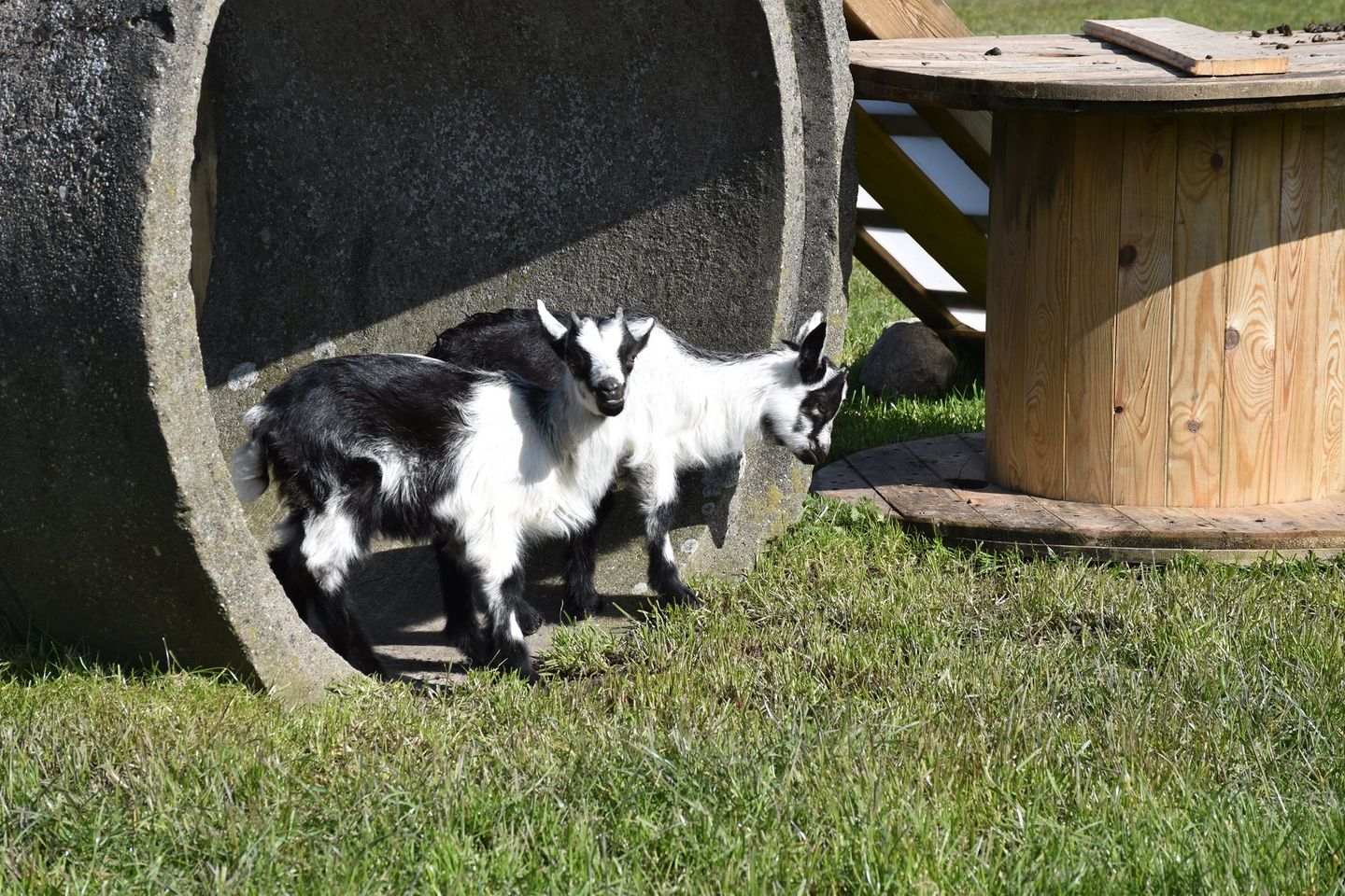 Friesenresidenz Zweite Heimat Werdum - 