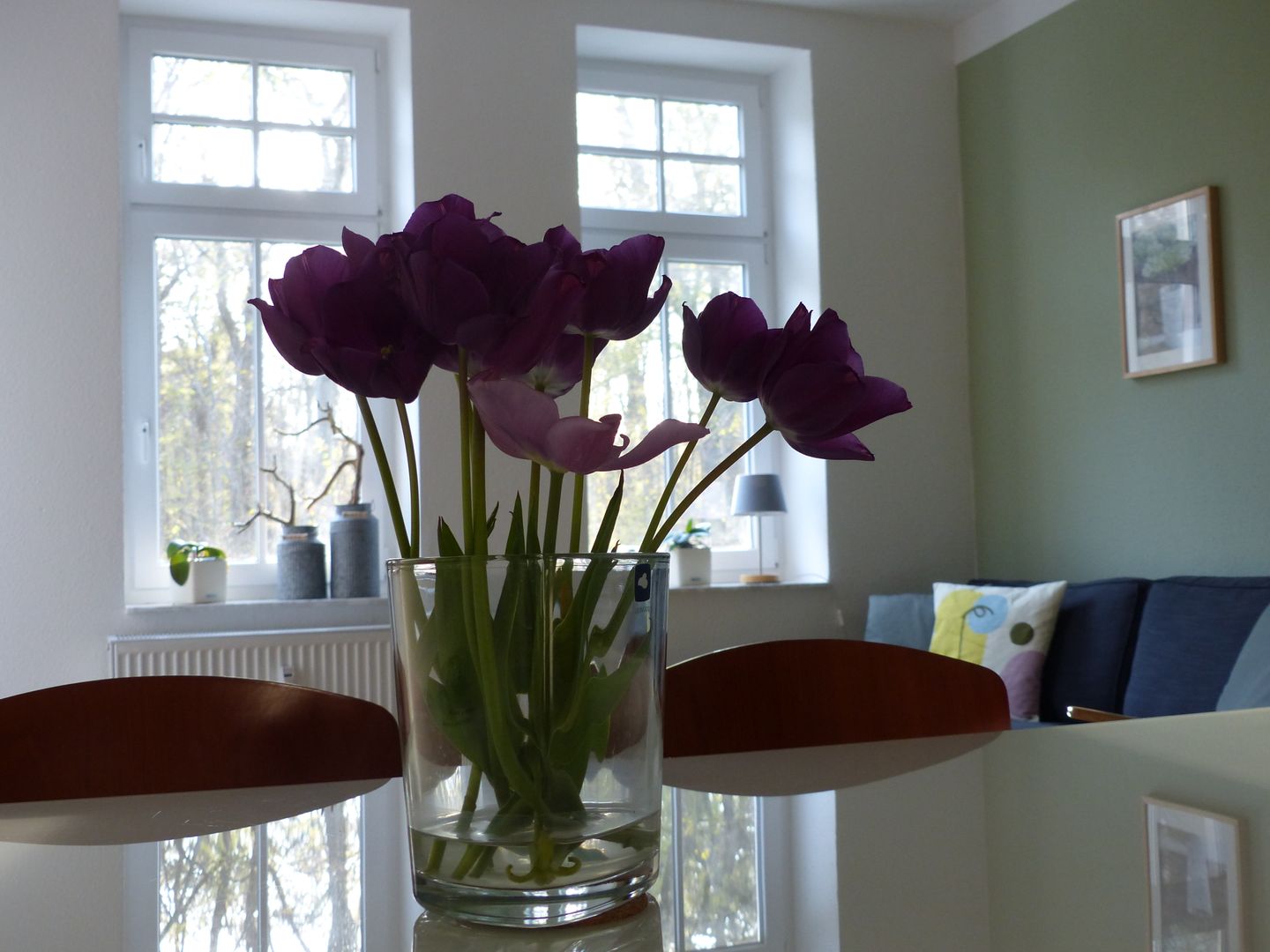 Haus Bucheneck App. 03 Graal-Müritz - 