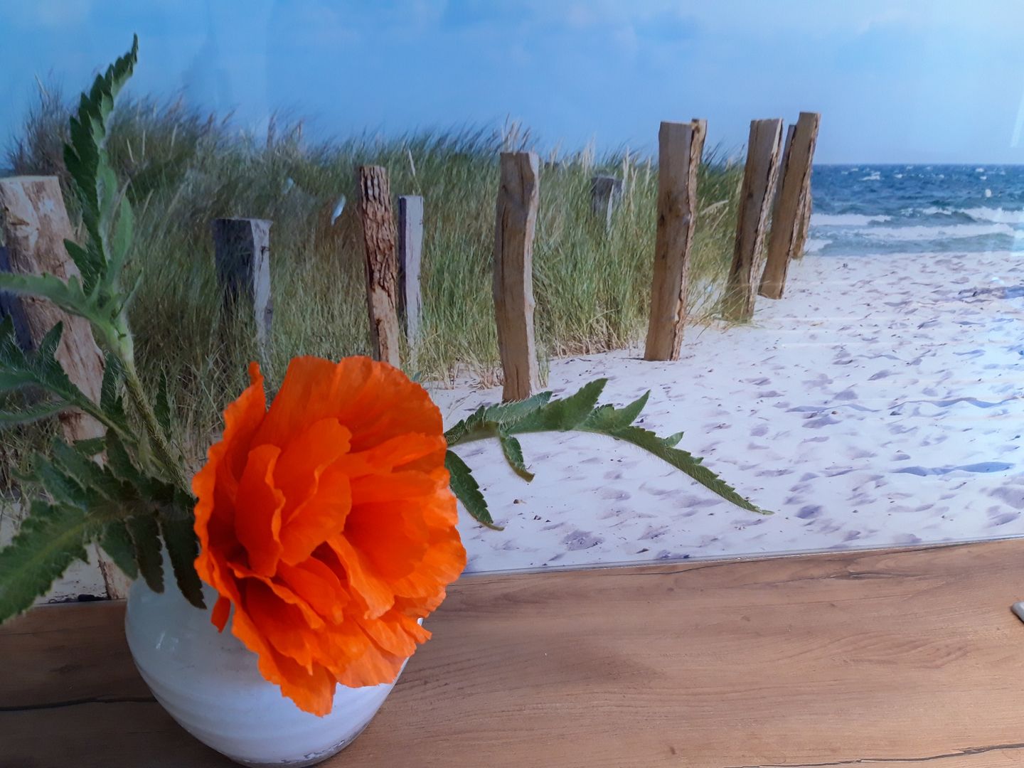  Rosenberg 13 Whg. 1d "Abendsonne am Rosenberg" Deutschland - 