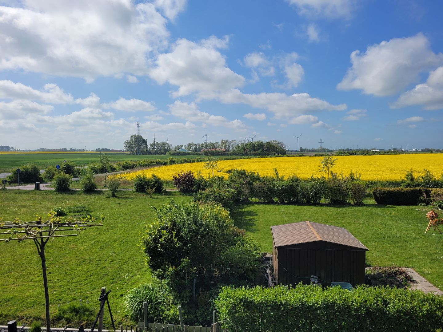  Ferienhaus Wind Wasser Welle Carolinensiel - 