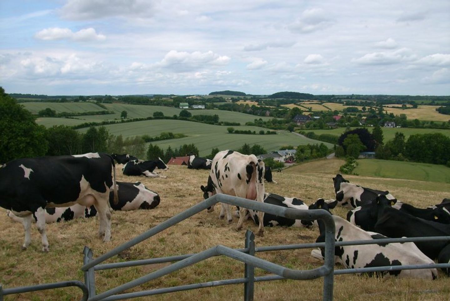 Strandresidenz Strandresidenz 13 Sierksdorf - 