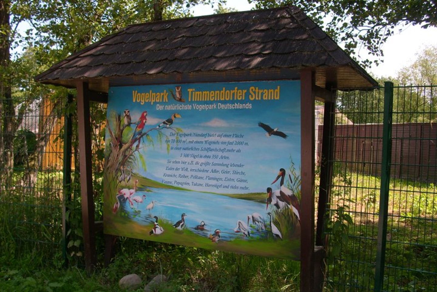 Strandresidenz Strandresidenz 13 Sierksdorf - 