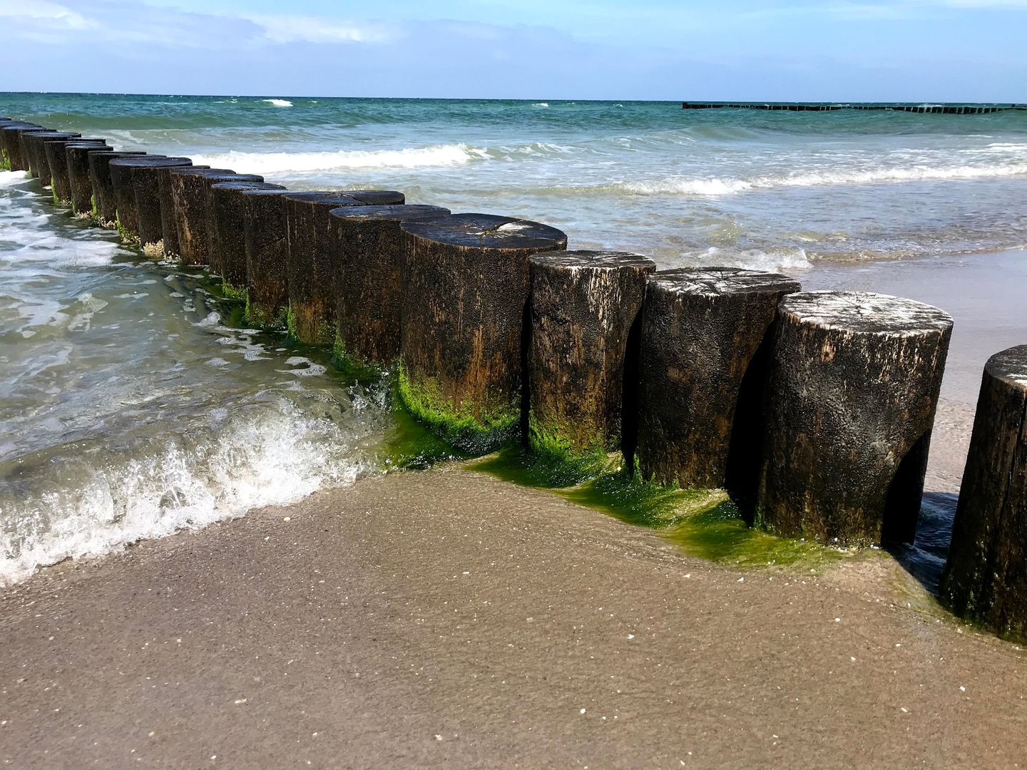  Glebbe 66 Whg. 1 "Hus Sünnschien" Seeheilbad Zingst - 