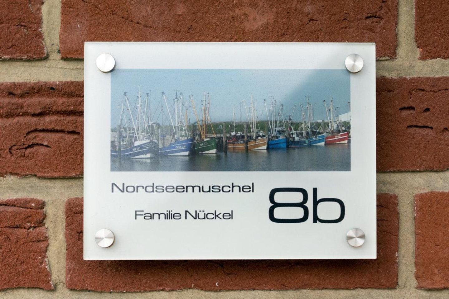  Nordseemuschel Norddeich - 