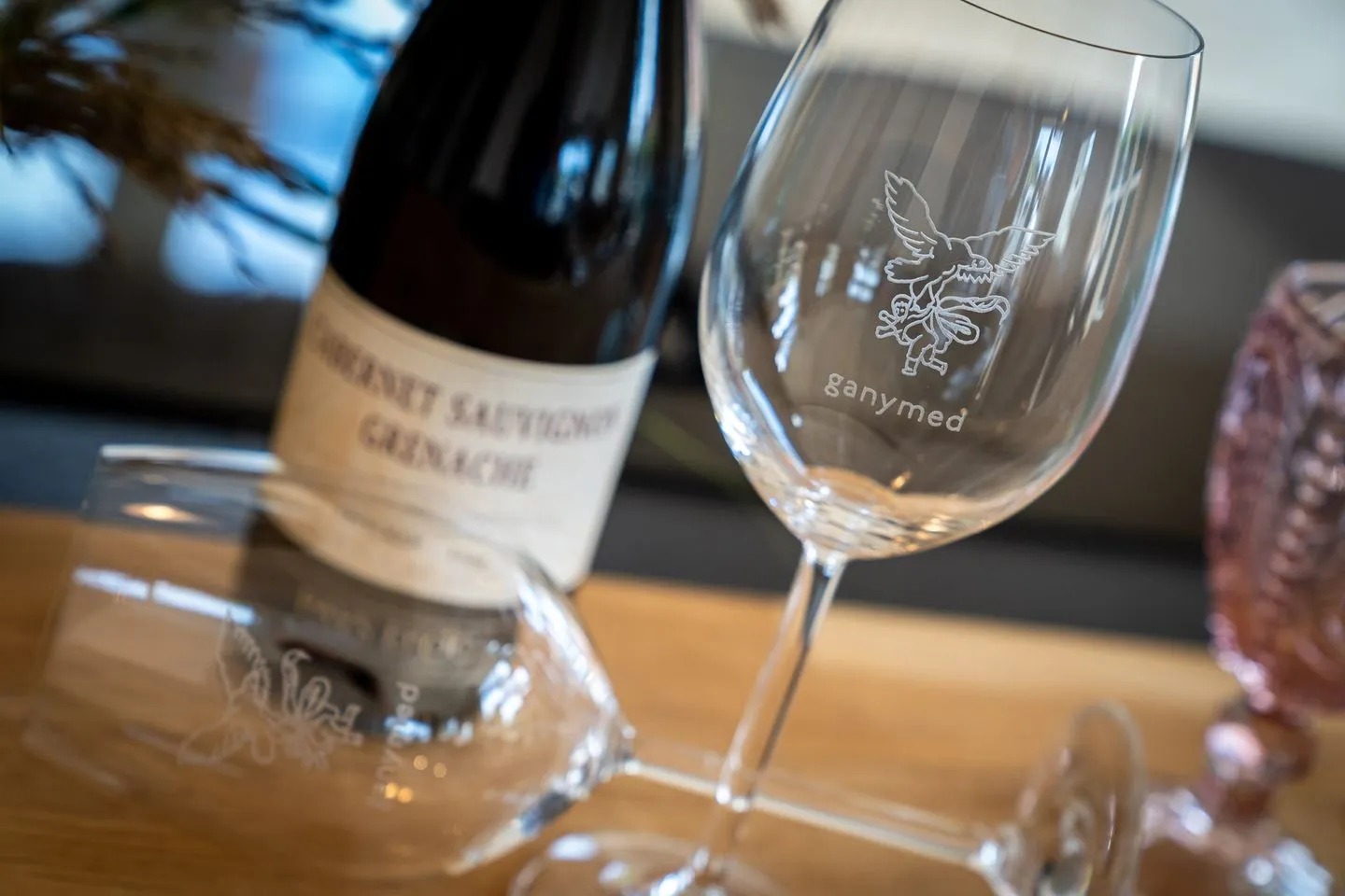 Reetdachhaus Gaia & Ganymed Reetdachhaus Ganymed SPO Dorf - 