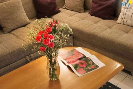 Dekoratives Detail Residenz Binz Ferienwohnung 2