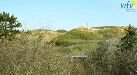 Blick vom Balkon in die Dünen Bootshaus in den Dünen - 4 Ferienwohnung Dünenkoje