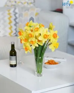 Wohnzimmer Dünenschlösschen Ferienwohnung 45