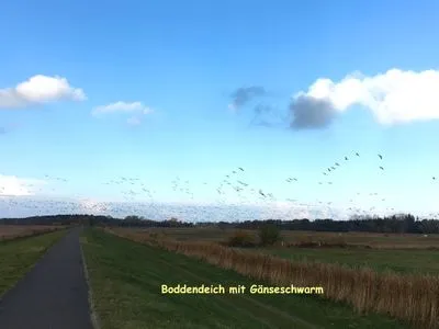 Fahrradweg Achtern Diek Achtern Diek 13a - Wohnung 2
