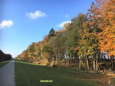 Fahrradweg Achtern Diek Achtern Diek 13a - Wohnung 2