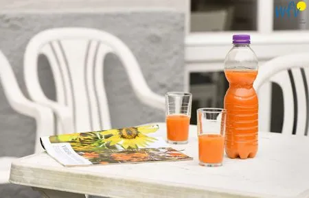 Terrasse Residenz am Rosengarten Ferienwohnung 1