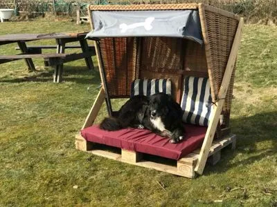 Strandkorb für Hunde am Hüs Sanskiin in Süddorf auf Amrum Hüs Sanskiin Ferienwohnung *Goodshenk*