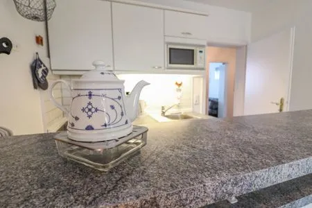 Dekoratives Detail Silbermöwe