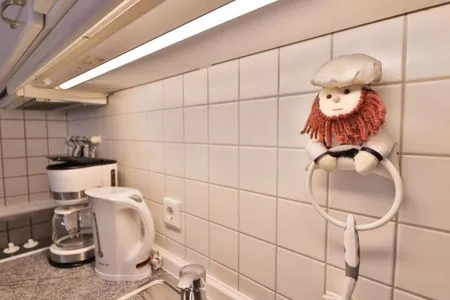 Dekoratives Detail Silbermöwe