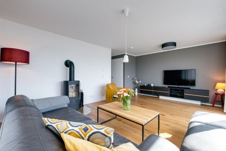 Kamin-/Ofen