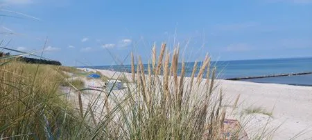 Düne mit Strand Residenz am Strand Wohnung 1-21