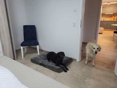 Altenkirchen - Fewo Lanckensburg 2