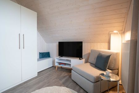 TV / Multimedia