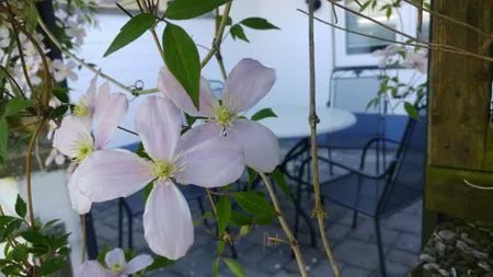  Ferienwohnung Kleine Auszeit Nr. 1