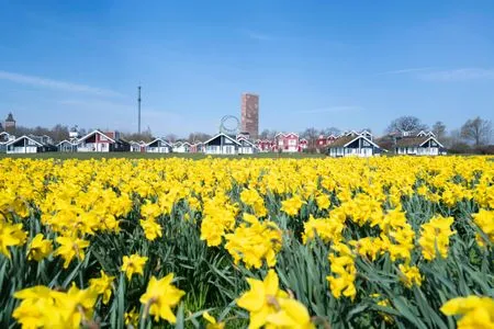 Landschaft Strandpark Sierksdorf Meerliebe