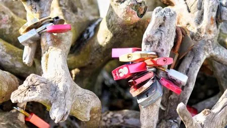 Schlosswurzel  Kapitänsgarten Wohnung 25