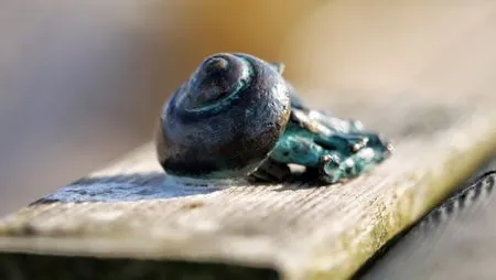 Dekoration  Kapitänsgarten Wohnung 25