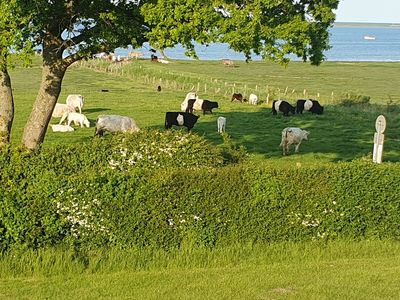 Landschaft