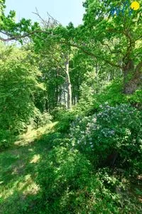 Balkon Residenz Binz Ferienwohnung 14
