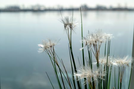 Landschaft