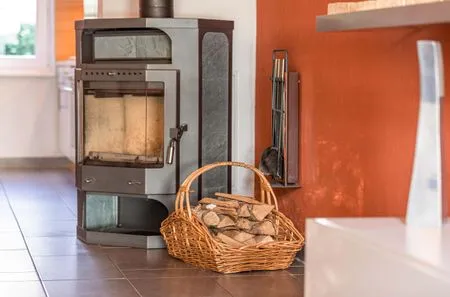 Ferienwohnung Schwan Kamin im Wohnzimmer  Schwan