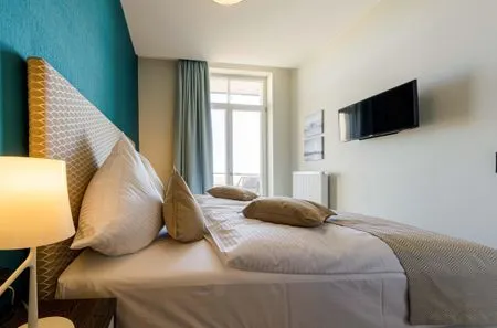 TV / Multimedia  Strandflieder