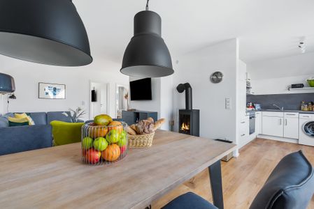 Kamin-/Ofen