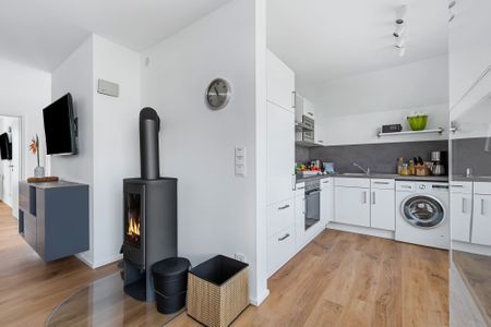 Kamin-/Ofen