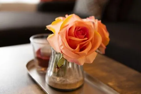 Dekoratives Detail (DKK11B) Ferienwohnung Seegras F***