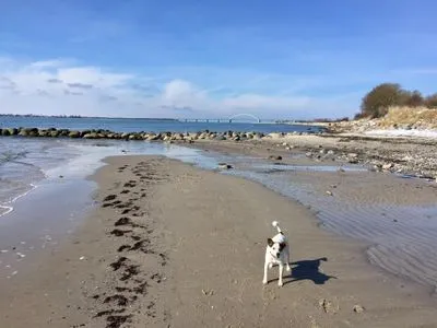  Fehmarn Ostseeferien FW3/Ostseeblick am Golfplatz (121/2)