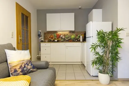 Offene Küchenzeile im Wohnbereich Ferienwohnung Storchennest