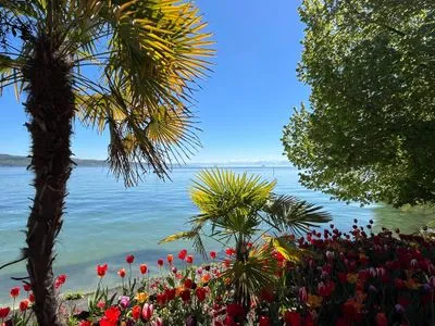 Landschaft Bodensee Strandläufer Quartier