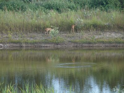 Gartenblick