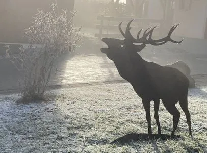 Dekoratives Detail Eulennest - Feriendorf Via Claudia Haus 81