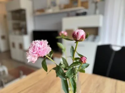 Wohnzimmer Ferienwohnung im Haus Nordland App 30