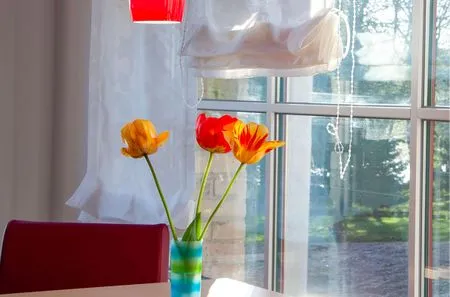 Dekoratives Detail  Eisvogel