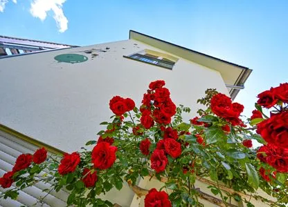 Fassade / Eingang Apartment 7/8 DG mit Bergblick