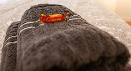 Schlafzimmer MonteurWohnung Sporbitzer Stübchen Dresden