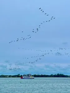 Kranichtour auf dem Bodden Parkresidenz am Hafen Wohnung HF 12 - "Luftsnapper´s"