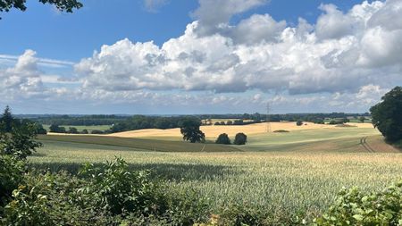 Landschaft